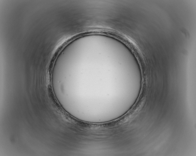 X0000111161267200906301051