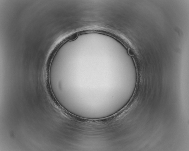 X0000111161270200906301051