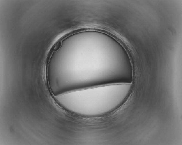 X0000111161272200906301051