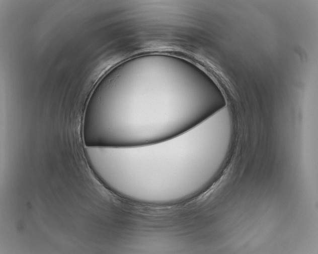X0000111161273200906301051