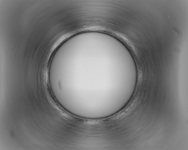 X0000111161274200906301051