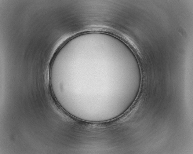 X0000111161275200906301051