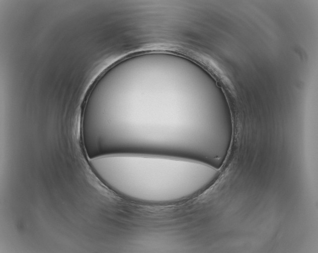 X0000111161276200906301051