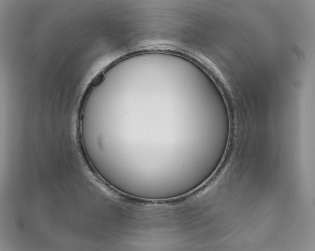 X0000111161277200906301051