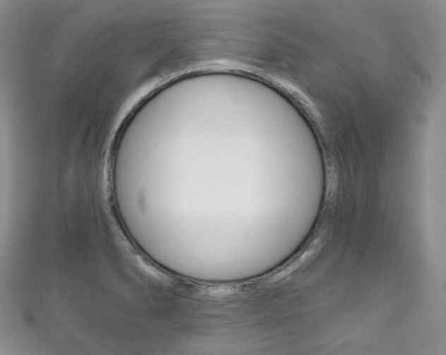 X0000111161278200906301051