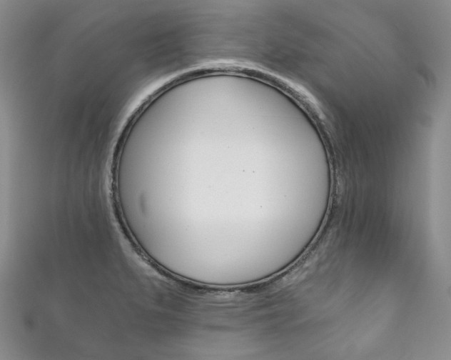 X0000111161279200906301051