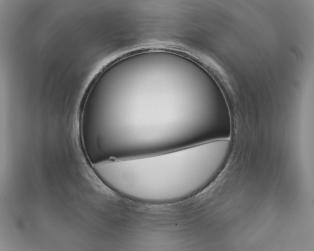 X0000111161280200906301051