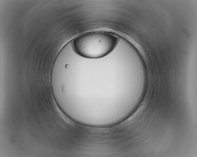 X0000111161281200906301051