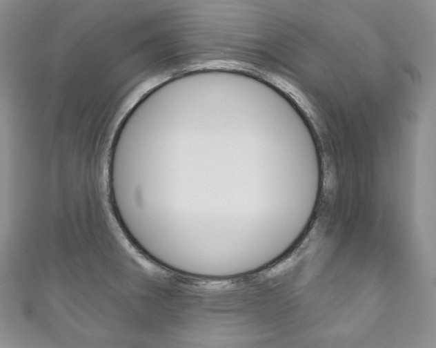 X0000111161282200906301051