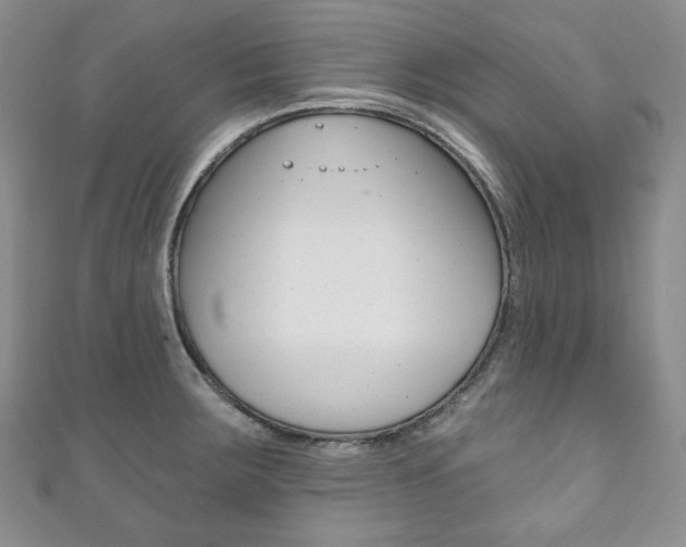 X0000111161283200906301051