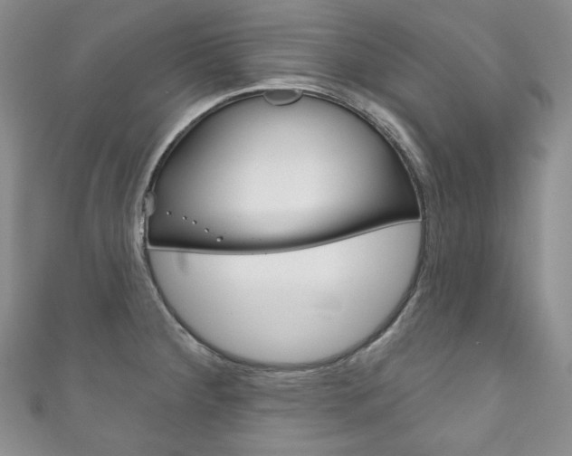 X0000111161284200906301051