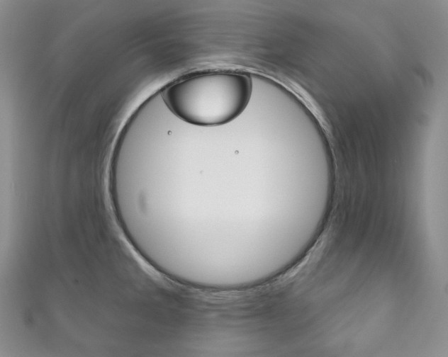 X0000111161285200906301051