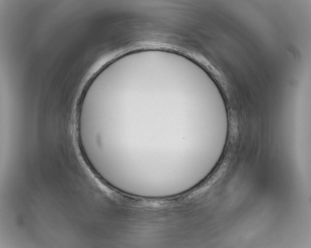 X0000111161286200906301051