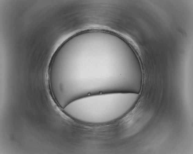 X0000111161287200906301051