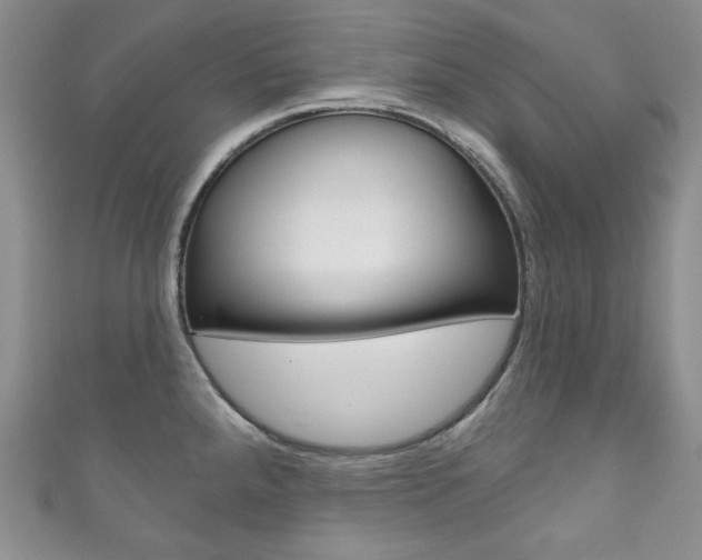 X0000111161288200906301051