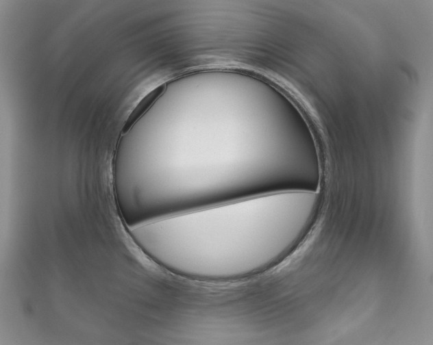 X0000111161289200906301051