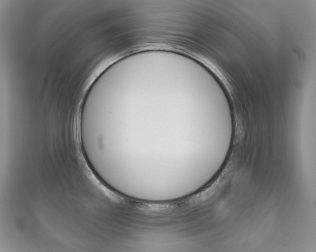 X0000111161290200906301050