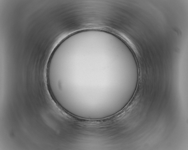 X0000111161291200906301050