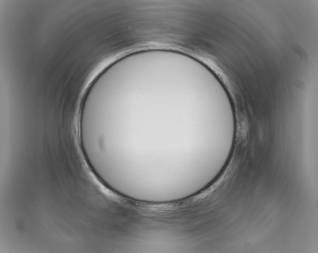 X0000111161294200906301050