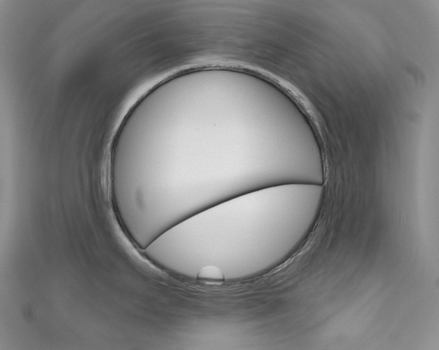 X0000111161295200906301050