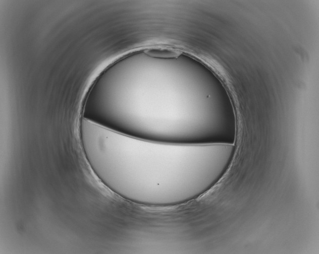 X0000111161296200906301050