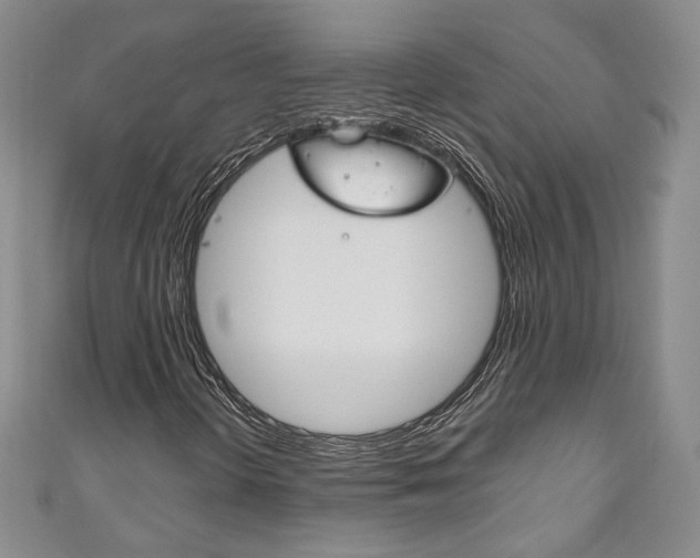 X0000111161298200906301050