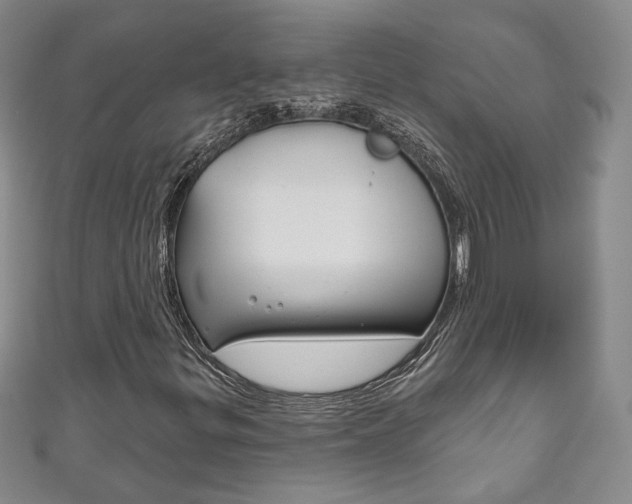 X0000111161299200906301050
