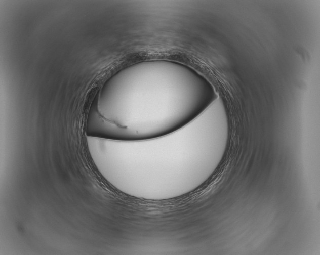 X0000111161300200906301050