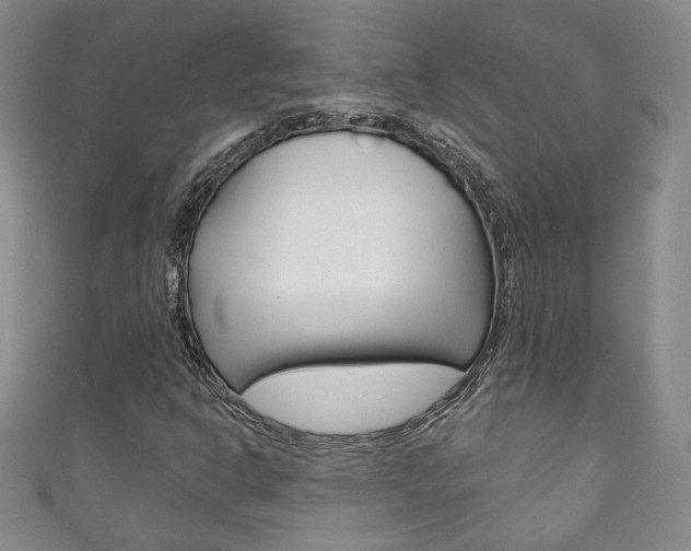 X0000111161302200906301050