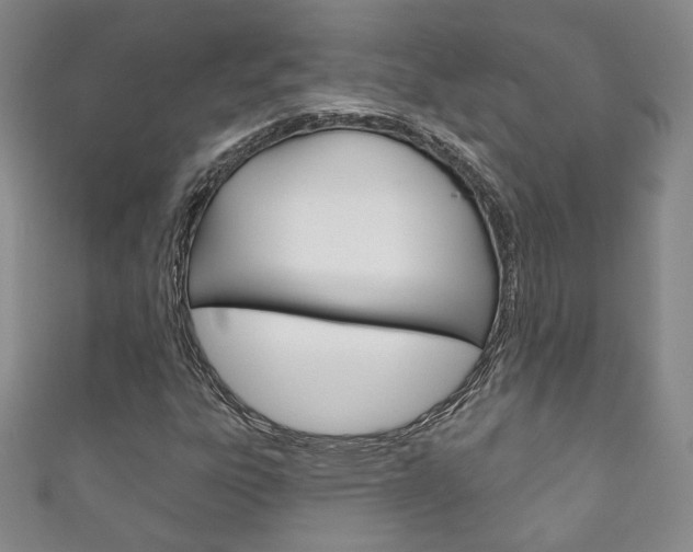 X0000111161303200906301050