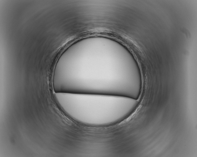 X0000111161305200906301050