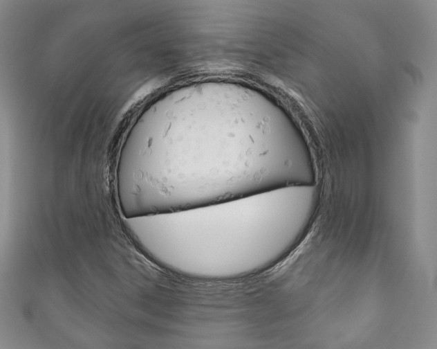 X0000111161306200906301050