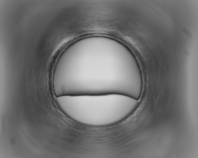 X0000111161307200906301050
