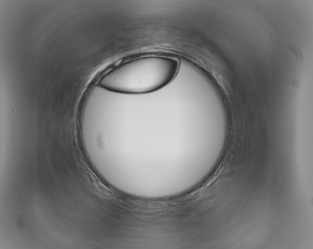 X0000111161308200906301050