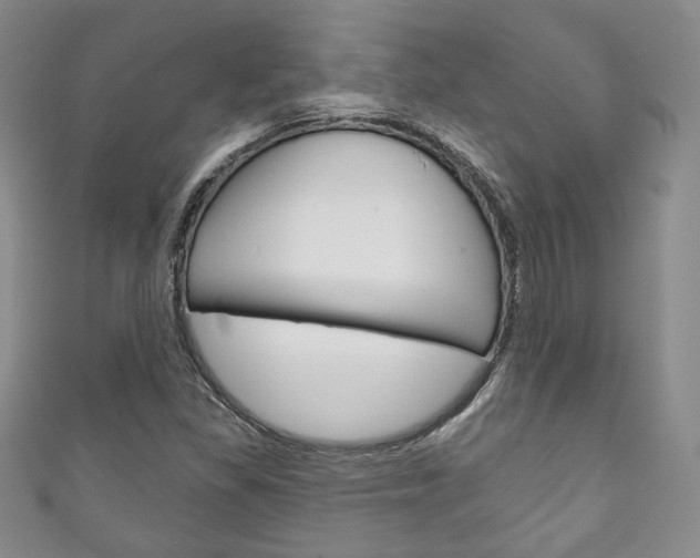 X0000111161309200906301050