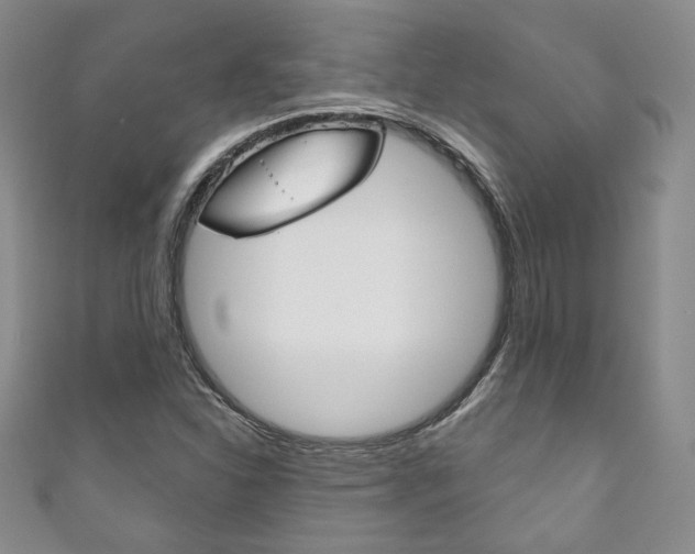 X0000111161310200906301050