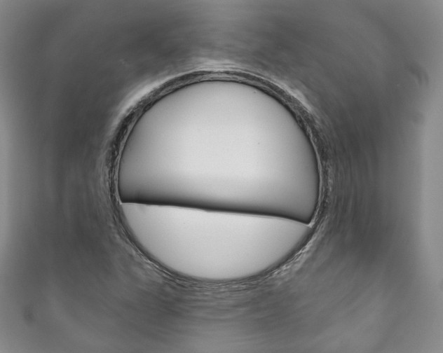 X0000111161311200906301050