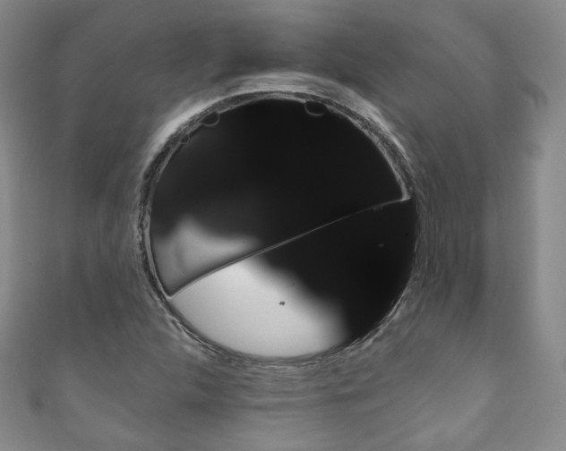 X0000111161312200906301050