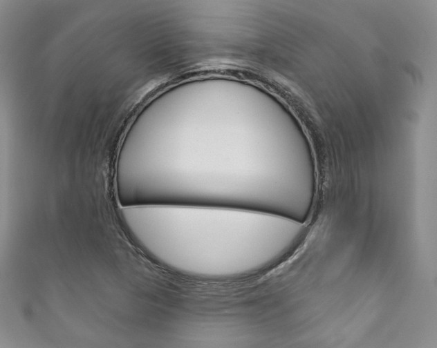X0000111161313200906301050