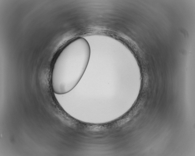 X0000111161314200906301050