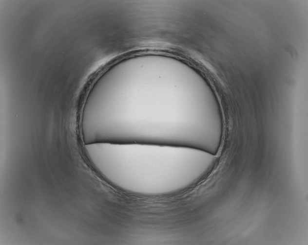 X0000111161315200906301050
