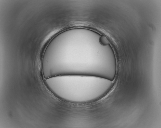 X0000111161317200906301050