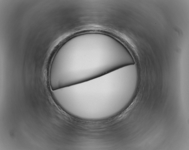 X0000111161318200906301050