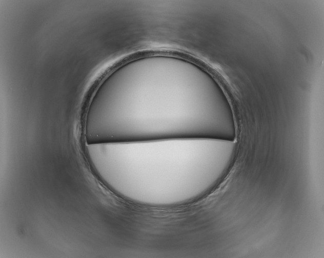 X0000111161319200906301050