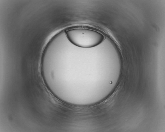 X0000111161320200906301050