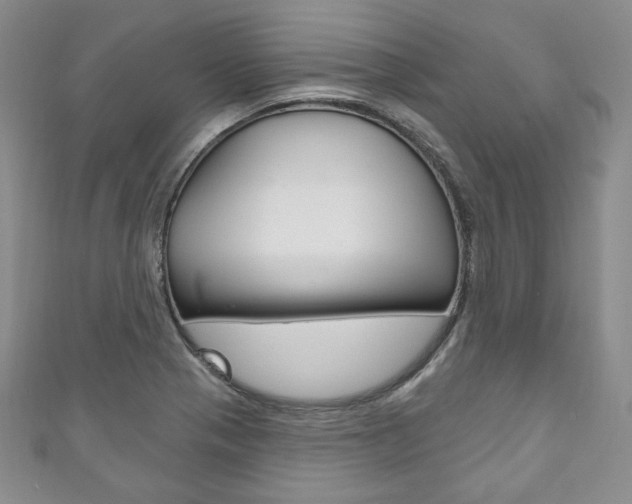 X0000111161321200906301050