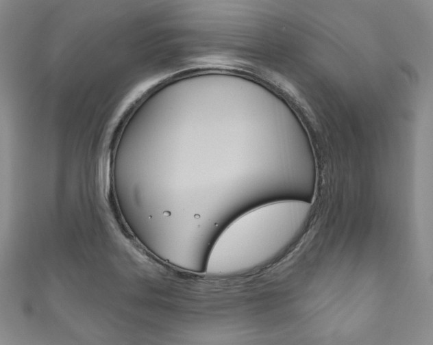 X0000111161323200906301050
