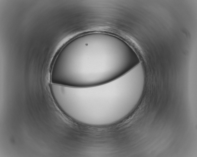 X0000111161324200906301050