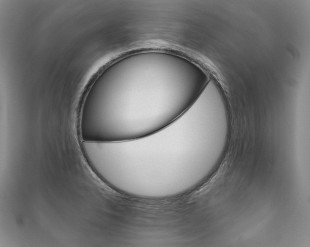X0000111161326200906301050