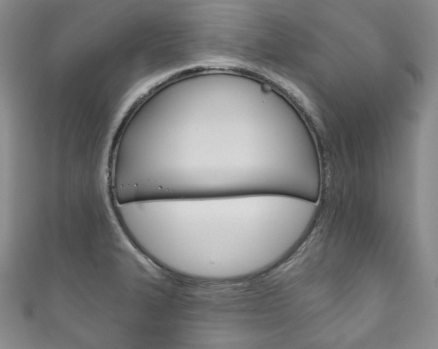 X0000111161327200906301050